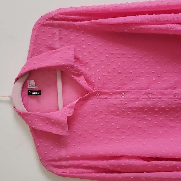 H&M Barbie pink swiss dot long sleeve semi sheer button down blouse. Wom… - Picture 2 of 7